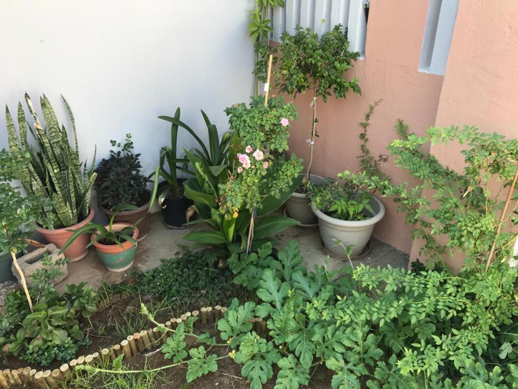 Urbanlife Keetmanshoop Accommodation Экстерьер фото